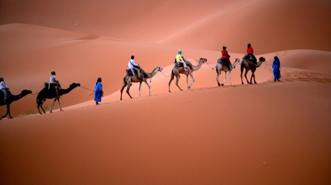 사하라프로젝트 10일(2027년 7월 출발)