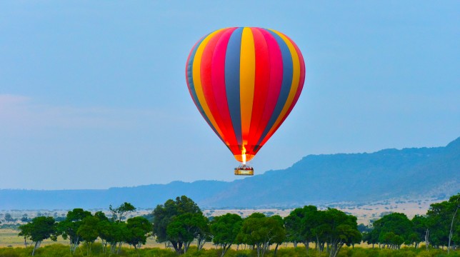블루트레인 & 아웃 오브 아프리카 20일(2027년 2월 출발)